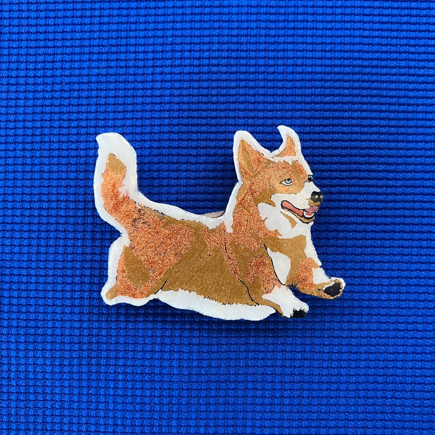 Corgi sautant
