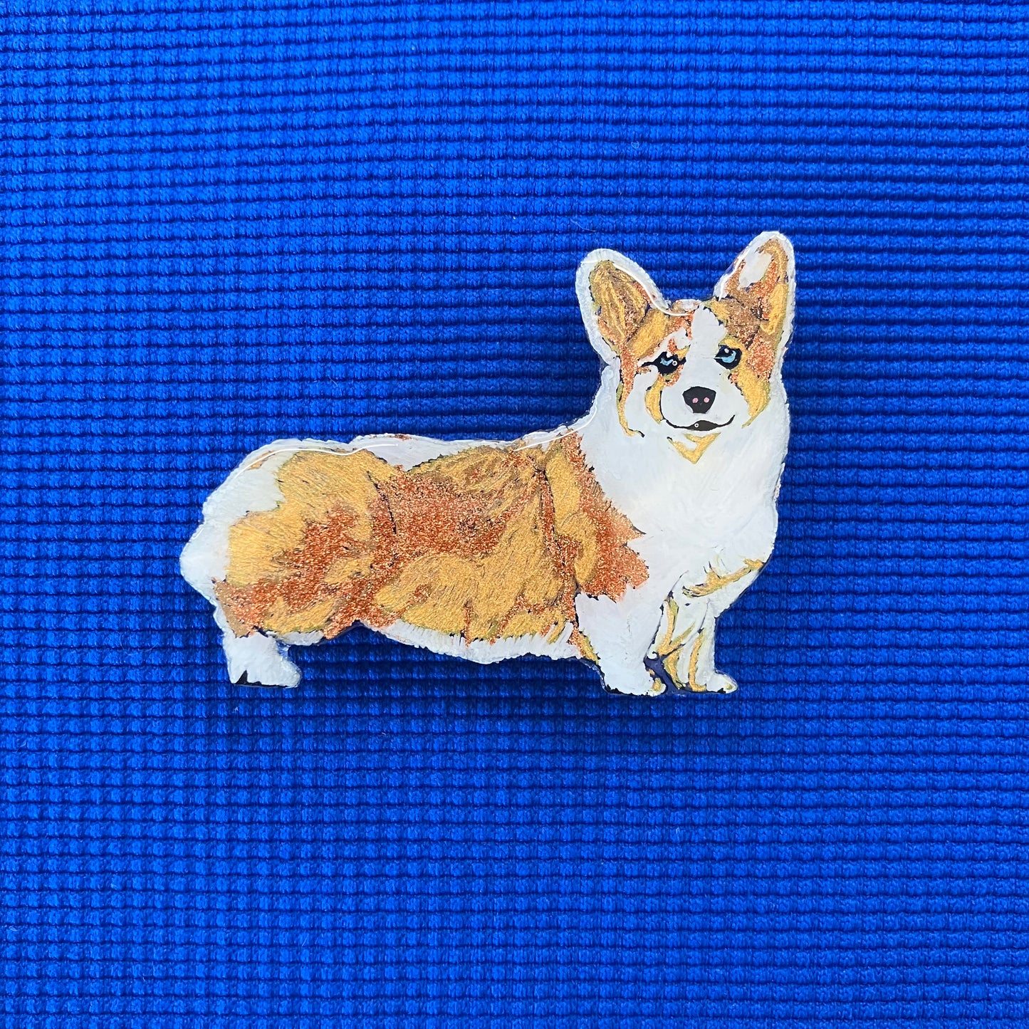 Corgi à l'arrêt