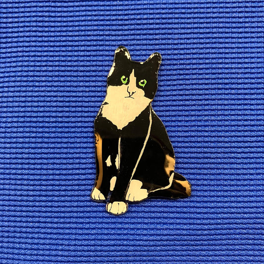 Chat noir et blanc