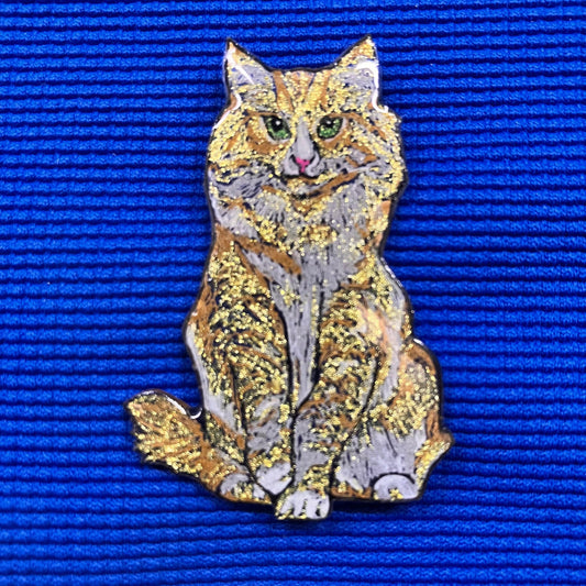 Chat gris et or