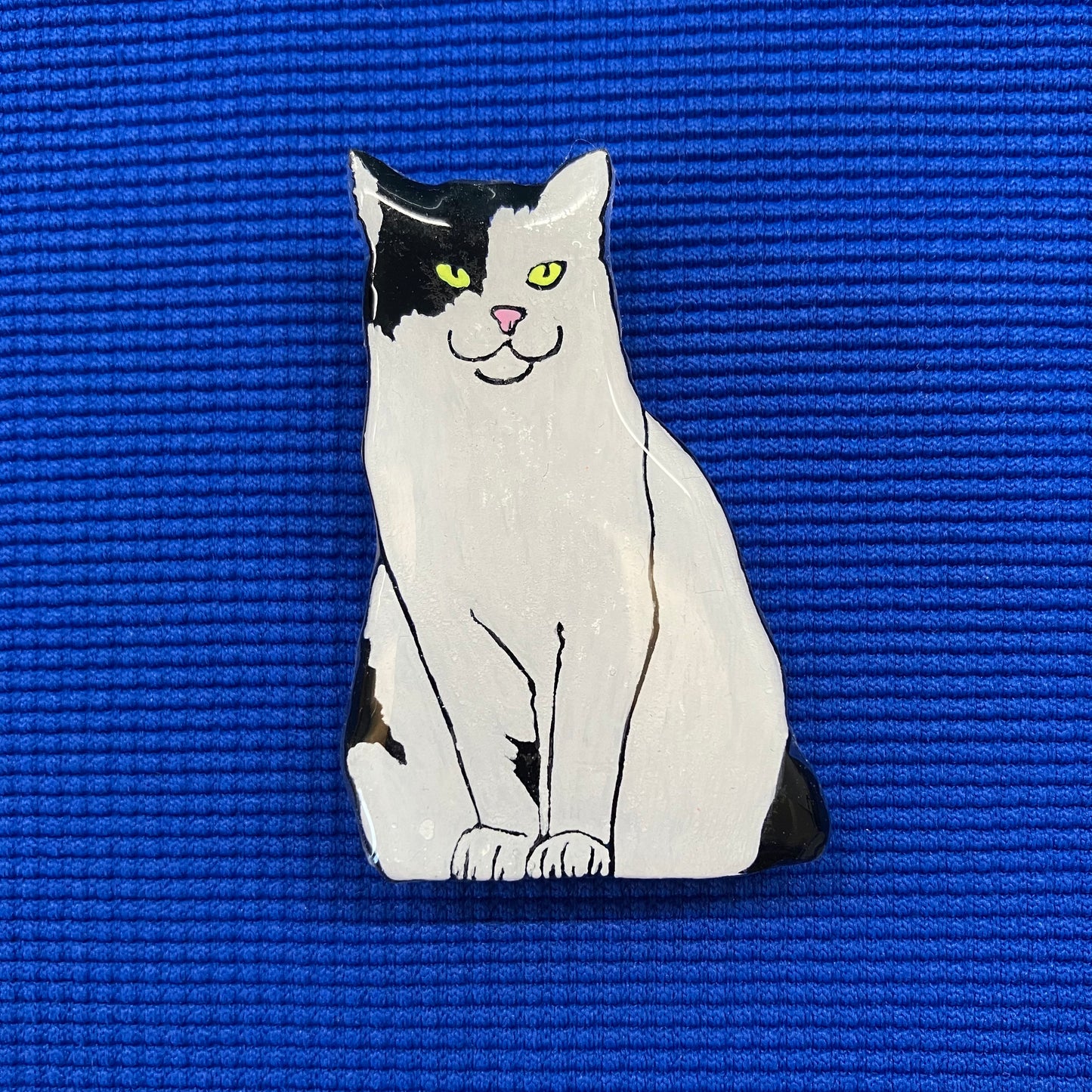 Chat blanc et noir