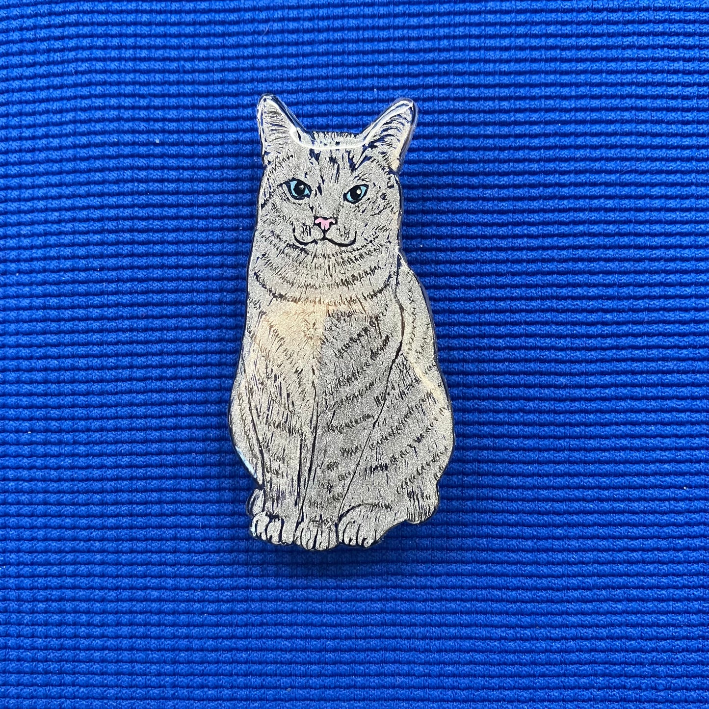 Chat tigré gris