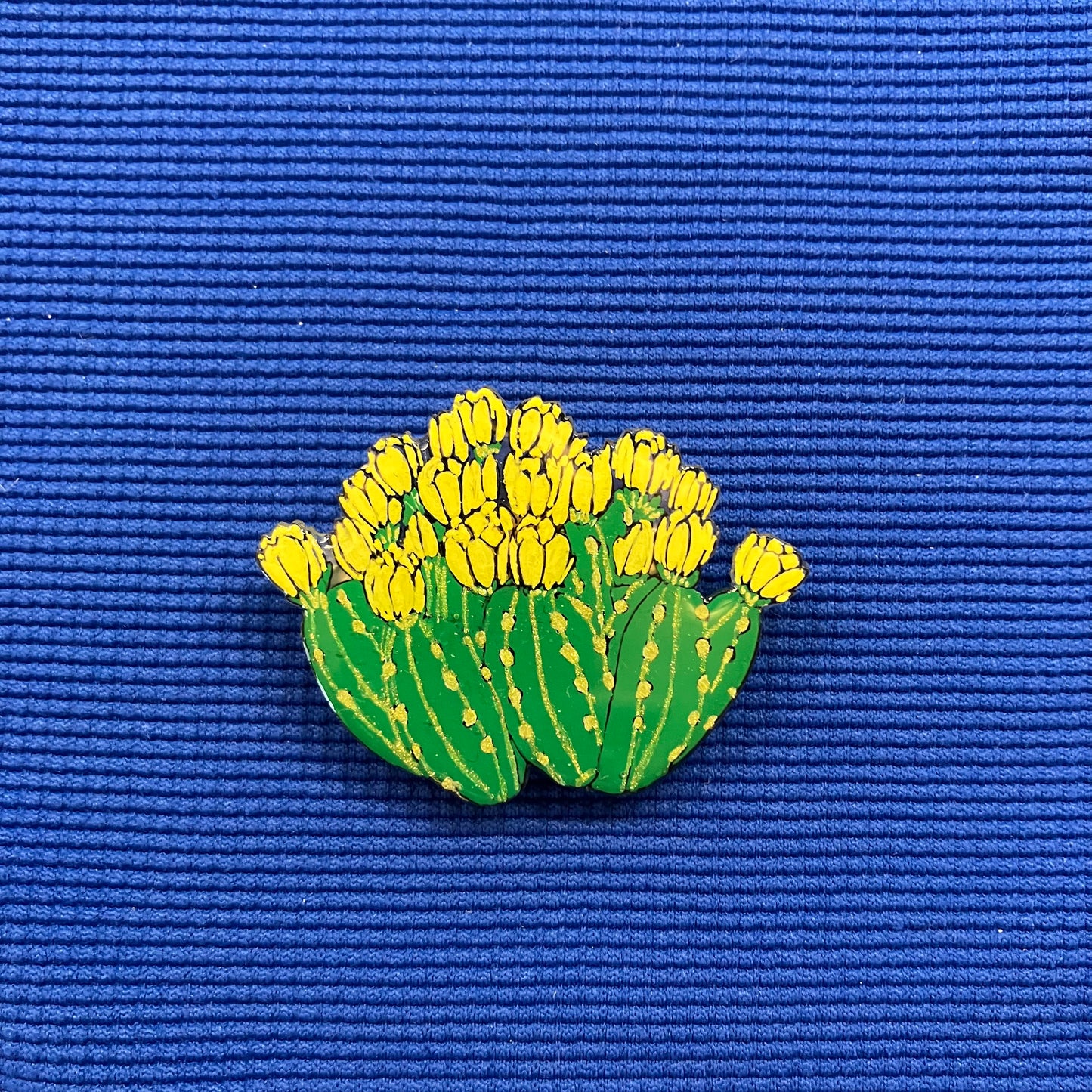 Cactus à fleurs