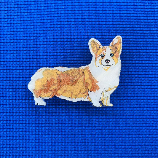 Corgi à l'arrêt