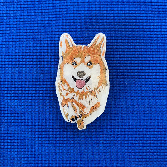 Corgi de face