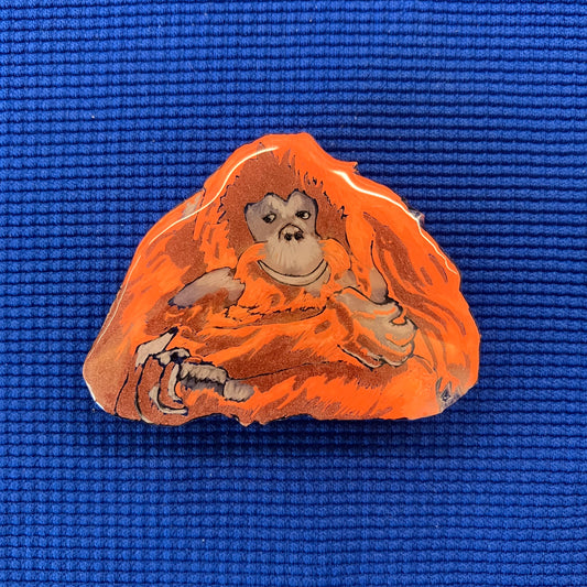 57, rue Cuvier, Paris 5